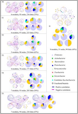 Chemotherapy Alters the Phylogenetic Molecular Ecological Networks of Intestinal Microbial Communities